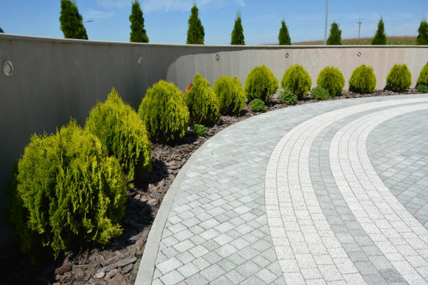 Best Commercial Driveway Pavers  in Water Valley, MS